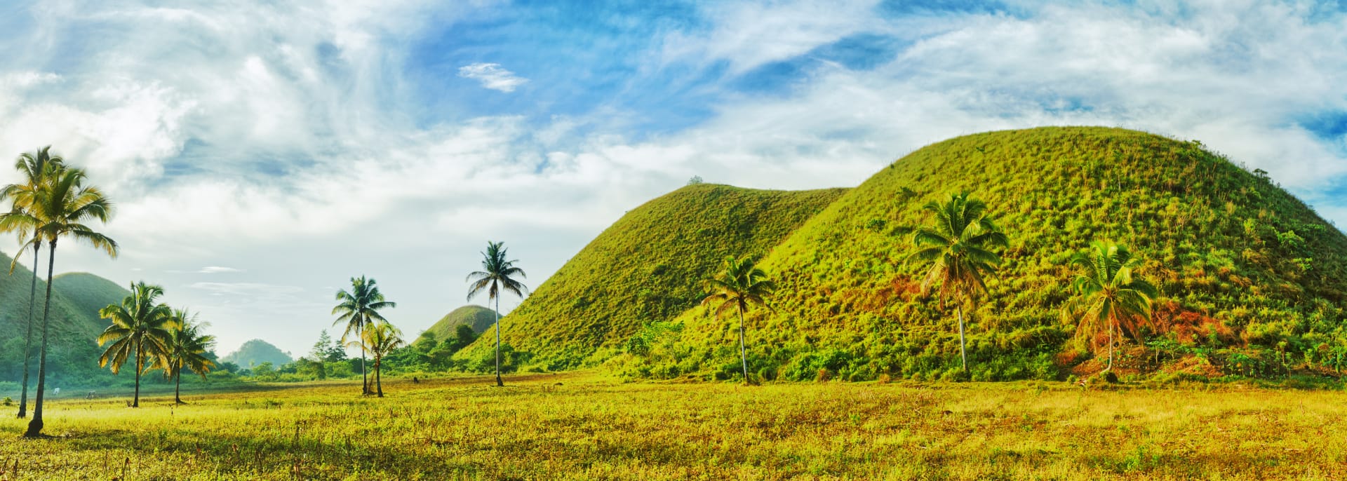 Bohol und Panglao, Philippinen Bohol und Panglao, Philippinen
